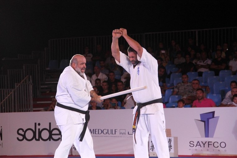 Martial Arts Festival